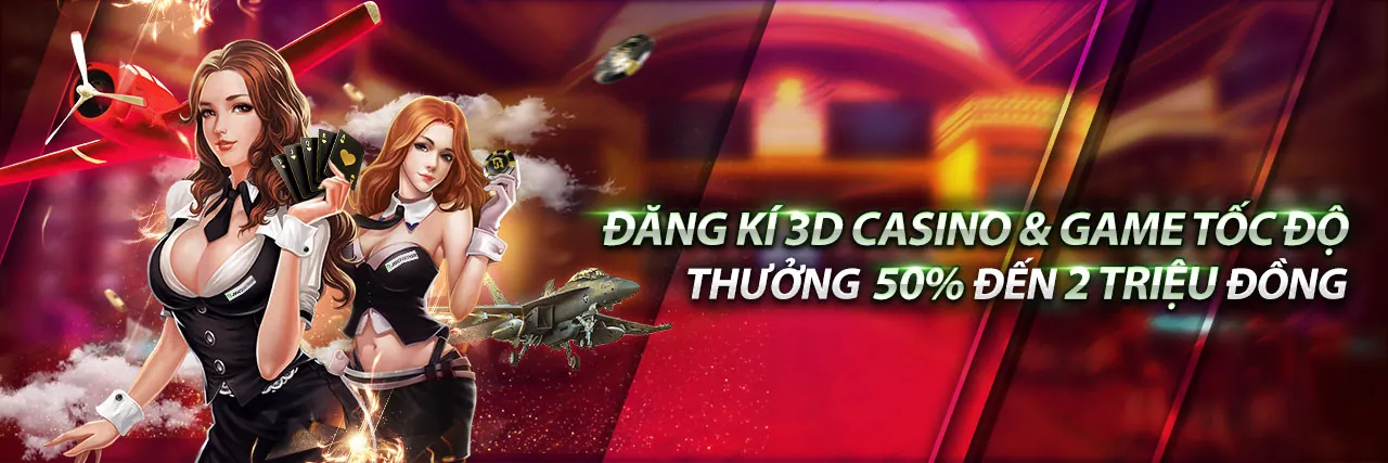 Tổng quan nền tảng sowin cho người mới bắt đầu