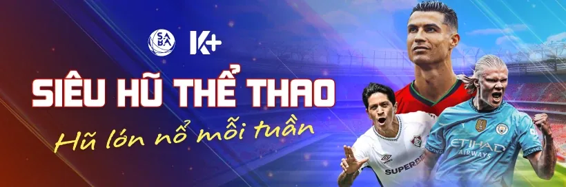 Hỗ trợ khách hàng 24/7 sowin